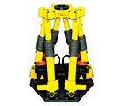 FANUC Robot F-200iB